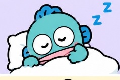 Hangyodon sleeping peacefully on a pillow